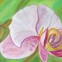 Orchidee 1 -  from Adrian's photos of Colombia<br />     2009 - pastel 70 x 50 cm  